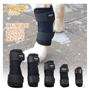狗狗骨折固定夹板保护关节护腿趴蹄O型腿矫正猫扭伤外固定前后腿