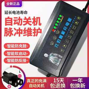 德国日本进口技术自动断电智能防鼓包电动车电瓶充电器48V12AH60V