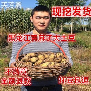 今年新鲜土豆黑龙江东北农家土豆黄心大土豆黄麻子马铃薯5斤包邮