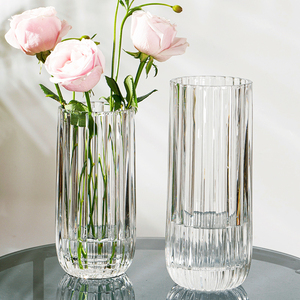 条纹轻奢高档高级感玻璃花瓶客厅鲜花透明插花水养水培ins风摆件