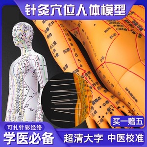 针灸人体模型穴位可扎针经络结构铜人全身中医人模人形练习模具图