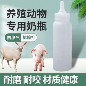 养殖兽用奶瓶小猪奶瓶专用兽用250毫升奶瓶小羊人工喂养动物
