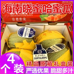 现货海南晓蜜25号哈蜜瓜原箱礼盒4个装脆甜多汁蜜瓜新鲜水果
