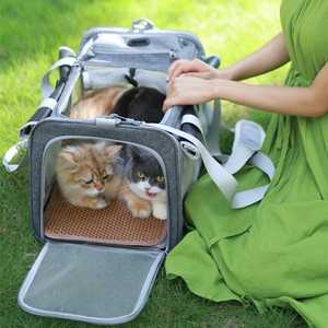 ostracod猫包便携外出猫背包大号透气夏天携带宠物两只猫咪绝育包