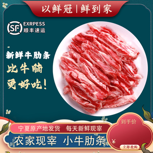 牛肋条牛肋条肉牛腩肉新鲜牛肉新鲜牛肋排宁夏黄牛肉现杀涮烤3斤