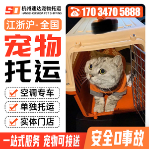 杭州宠物托运服务全国 狗狗宠物全国猫咪托运空运顺风车运输专车.