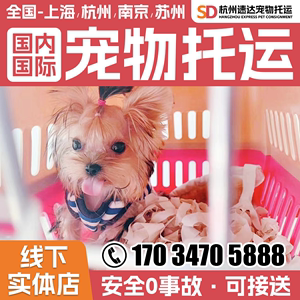 杭州猫咪狗狗国际宠物航空托运服务全国内空运陆快递顺风专车邮寄