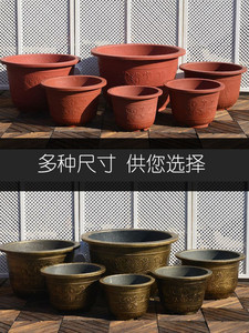 多肉花莲 多肉花莲品牌 价格 阿里巴巴