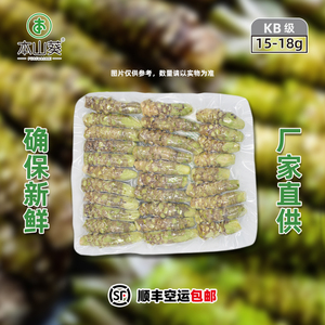 本山葵250g装KB级新鲜山葵根日本进口品质鲜芥末辣根用于日料餐厅