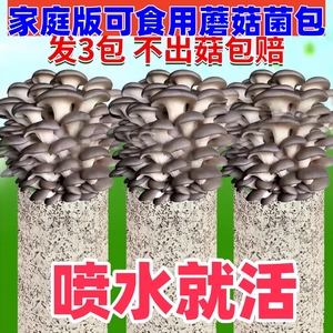 【不出菇包赔】蘑菇菌包家庭种植菌棒蘑菇种植包平菇菌种