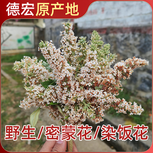 密蒙花250g染饭花五彩米花米饭天然染色植物七彩大米粽子饭团材料