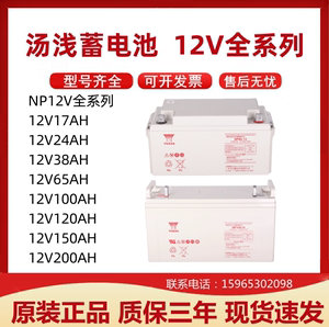 汤浅蓄电池NP100-12 12V100AH65AH120AH38AH24AH155AH210AH直流屏