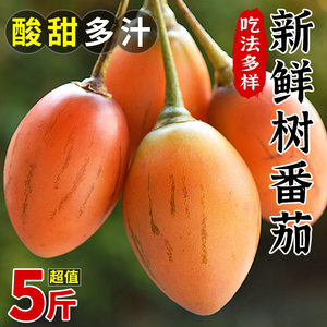 云南大树番茄5斤新鲜现摘洋酸茄鸡蛋果番茄缅茄傣味特产蔬菜包邮