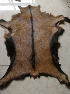 小鹿羊皮整张动物皮型皮毛一体自然花色沙发垫椅子垫床边毯飘窗垫