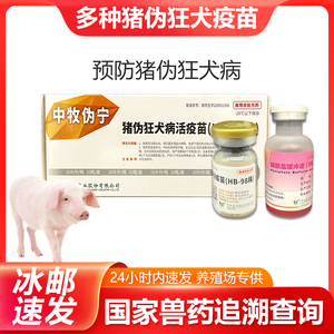 中牧猪伪狂犬病活疫苗k61株伪狂犬猪用疫苗HB98株小猪滴鼻用疫苗