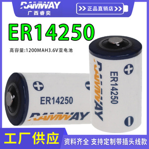 睿奕ER14250台达伺服电池数控机床PLC1/2aa探头3.6v水表ETC锂电池
