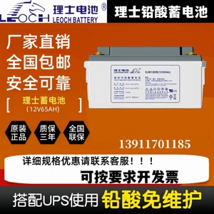 理士蓄电池DJM1265S 12V65AH/12V38AH机房/UPS电源专用直流屏铅酸