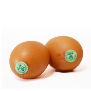 洪家绿色鸡蛋票5斤装仅供大连销售指定地点领取鸡蛋
