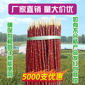 新疆红柳烤肉签子红柳枝签子羊肉大串木签烧烤签30354050厘米包邮