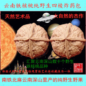 云南铁天然纯文玩天然四棱天然纯核桃野生四棱炸药包狮子头SS