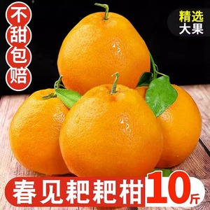 四川春见耙耙柑特级粑粑柑9斤橘子甜当季整箱新鲜水果丑柑桔包邮5