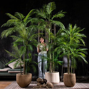 高级氛围感仿真花散尾葵棕榈树室内仿生植物假树盆栽造景装饰摆件