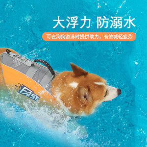 宠物狗狗泳衣救生衣夏季游泳用品柯基泰迪柴犬中型犬专用夏天衣服