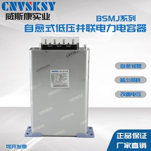 上海威斯康单相自愈式低压并联电力分补电容器BSMJ0.25无功补偿柜