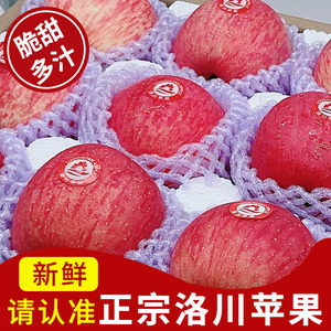 正宗洛川苹果红富士水果脆甜冰糖心整箱当季新鲜水果5斤十斤