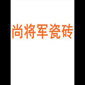 尚将军瓷砖广东佛山素色柔光通体750x1500微水泥瓷砖肌肤釉墙