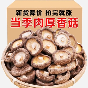 香菇干货珍珠菇古田小蘑菇冬菇特产干货肉厚无根炒菜煲汤毛重