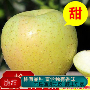 出口王林苹果新鲜青森鲜甜孕妇水果应季特大国内种植送礼日本引进