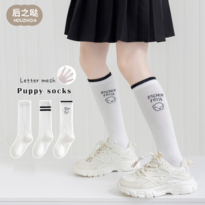 女童长筒袜夏季薄款韩系运动风中筒儿童网眼白色学院学生小腿长袜