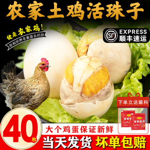 农家土鸡活珠子开袋即食香辣13天新鲜鸡胚蛋五香40枚熟毛蛋钢化蛋