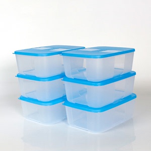 特百惠正品1.7/2.3L冷冻冰箱饺子馄饨保鲜盒收纳盒蔬菜水果储藏盒