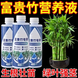 富贵竹营养液通用浓缩型专用叶黄家用植物生根花肥水养土养肥料