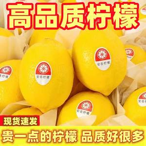 四川安岳优质一级黄柠檬皮薄多汁酸爽无蜡孕妇水果5斤独立包装