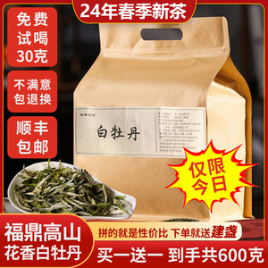 2024年春茶正宗福鼎高山白茶头采特级白牡丹茶叶散装大分量共600g