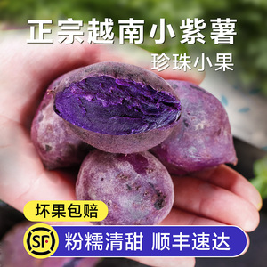 正宗越南珍珠小紫薯小个迷你果新鲜低脂板栗番薯农家自种地瓜山芋