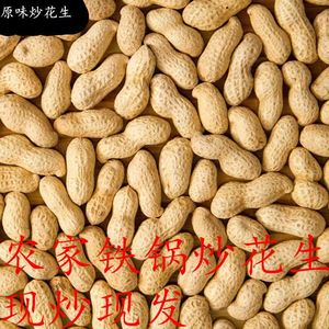 炒小花生原味 新货湖南特产带壳铁锅生小籽农家炒熟散装即食香脆