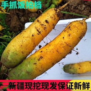 现挖新疆黄罗卜新鲜5斤黄心胡萝卜红当季蔬菜宝宝副食品手抓饭罗