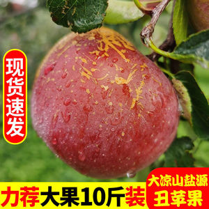 四川盐源大凉山丑苹果9斤冰糖心新鲜水果一级红富士脆甜心苹果平5