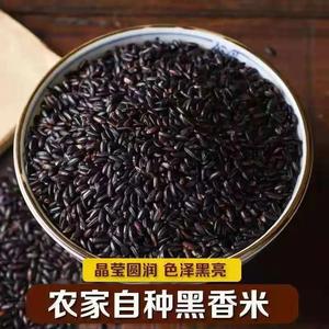 东北黑香米250g-500g煮粥特价黑香米农家优质黑米五谷杂粮黑米一