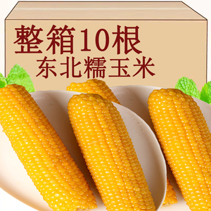 东北黑龙江玉米新鲜 黄白甜糯玉米真空袋装黏粘玉苞米棒早餐粗粮