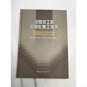 正版二手深基坑工程信息化施工技术林鸣、徐伟中国建筑工业出版社