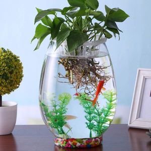 滴水观音水培器皿创意水培植物 绿萝观音竹瓶水培玻璃花瓶水养植