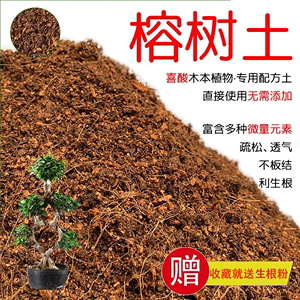 榕树专用土营养土榕树土有机酸性土壤家用盆栽植物种植土红土花肥