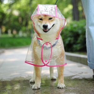 狗新款防水雨衣小泰迪柴犬专用金毛中型犬狗雨披透气宠物衣服柯基