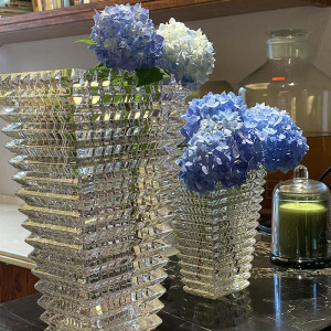 轻奢风花瓶摆件客厅插花水晶玻璃花器法式巴卡璀璨同款拉卢索ins