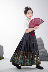 马面裙女童套装秋天中式古风唐装中国风刺绣上衣小女孩半身裙汉服